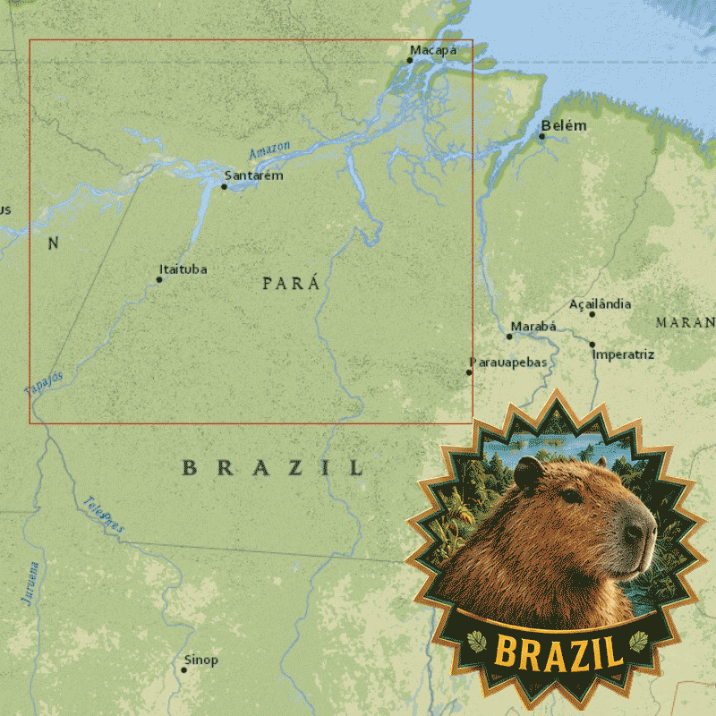 Map Brasil