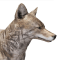 Здичавілі пси
