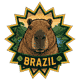 Бразилія (Brazil)